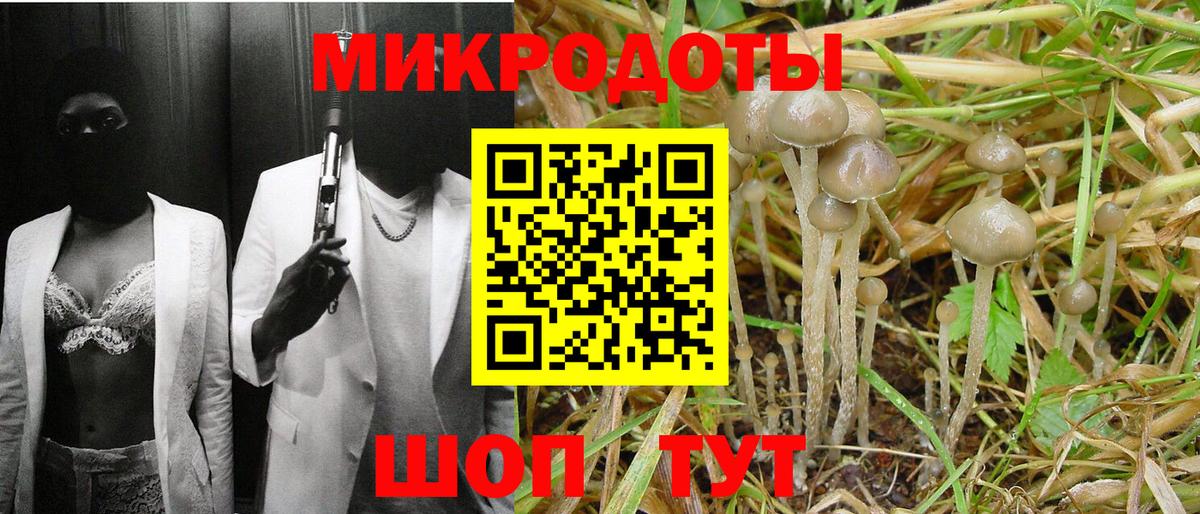 Людиново  Галлюциногенные грибы ЛСД  купить закладку  Псилоцибиновые грибы Psilocybe  Вход с VPN 